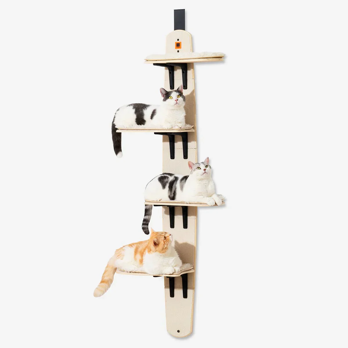 Griffix® - Árbol para gatos para colgar en la puerta