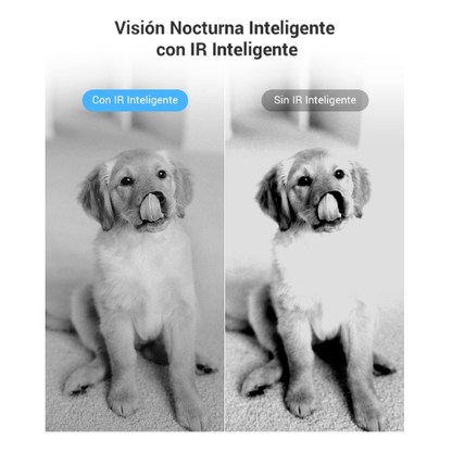 Cámaras de Seguridad WiFi – Pack de 2 con Visión Nocturna y Detección de Movimiento (Full HD 1080p)